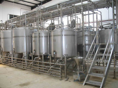 Dairy